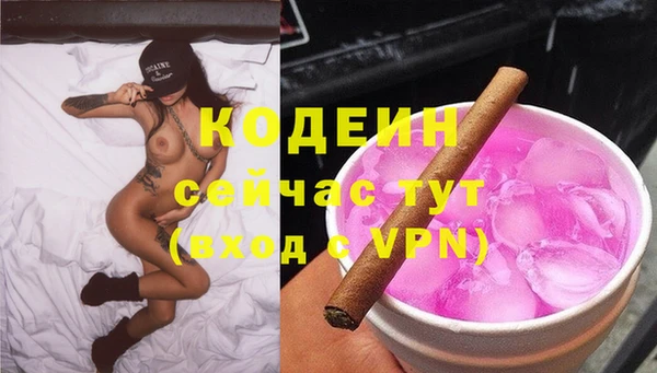 эйфоретик Алзамай