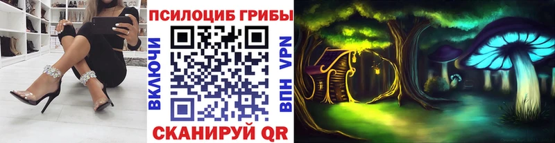 Галлюциногенные грибы Psilocybine cubensis  Шадринск 